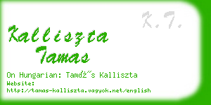 kalliszta tamas business card